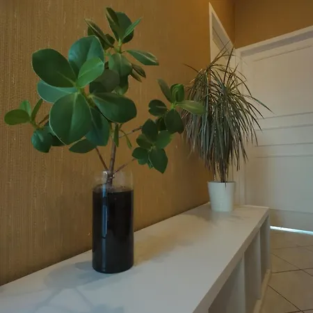 Escapade Aux Chartrons לינה וארוחת בוקר