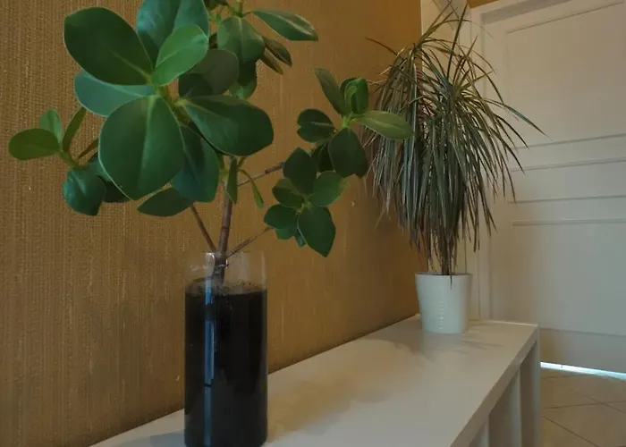 Escapade Aux Chartrons Bed & Breakfast